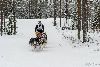 16.02.2014-(Koiravaljakko SM) kuva: 44