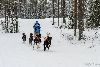 16.02.2014-(Koiravaljakko SM) kuva: 53