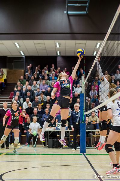 31.3.2016 - (Puijo Wolley N-MesTo N)