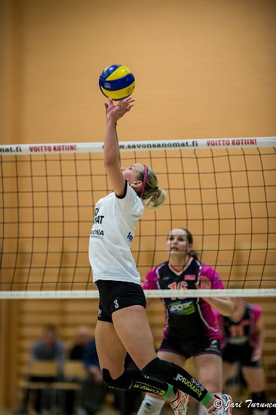 31.3.2016 - (Puijo Wolley N-MesTo N)