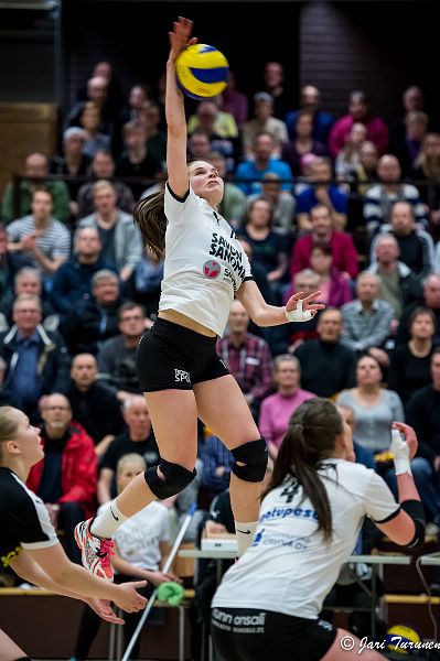 31.3.2016 - (Puijo Wolley N-MesTo N)