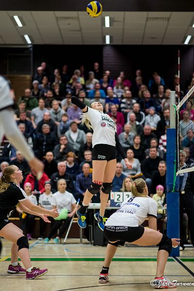 31.3.2016 - (Puijo Wolley N-MesTo N)