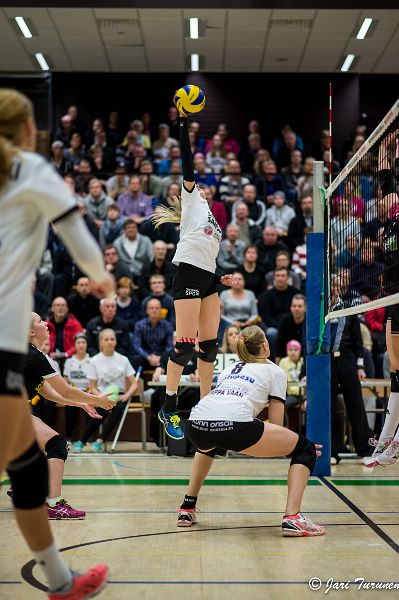 31.3.2016 - (Puijo Wolley N-MesTo N)