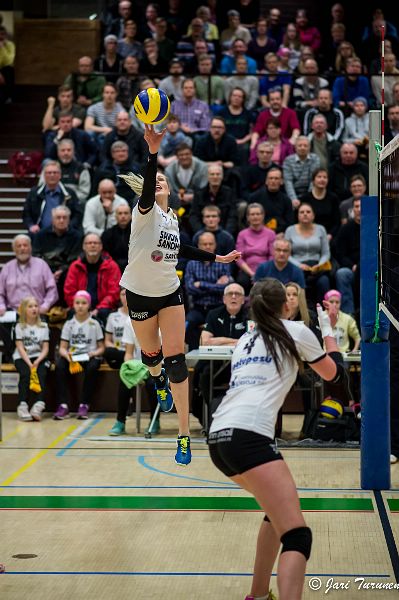 31.3.2016 - (Puijo Wolley N-MesTo N)