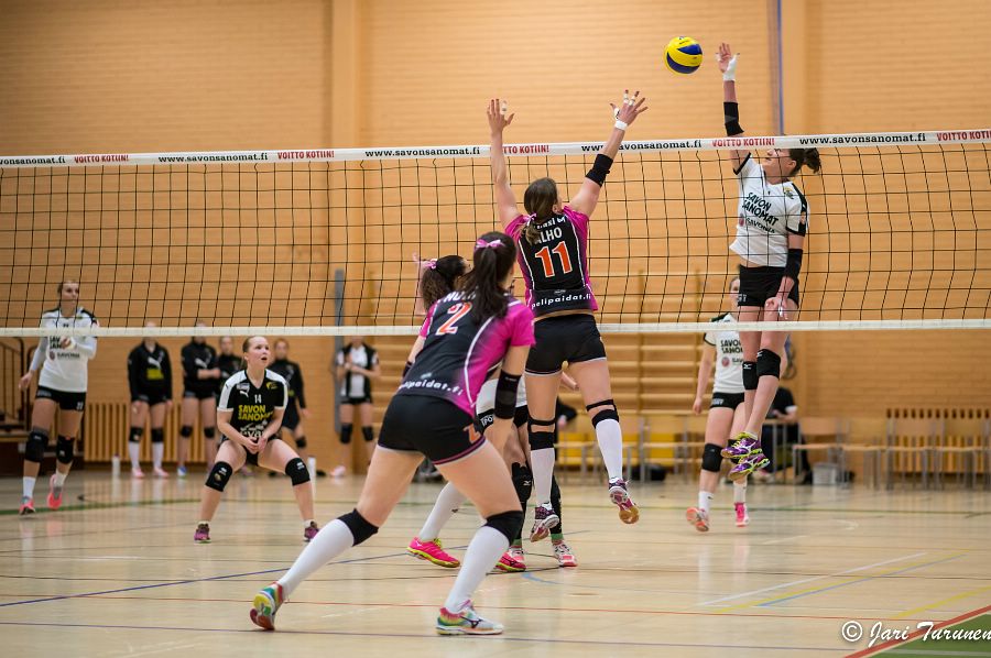 31.3.2016 - (Puijo Wolley N-MesTo N)