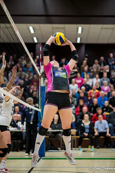 31.3.2016 - (Puijo Wolley N-MesTo N)