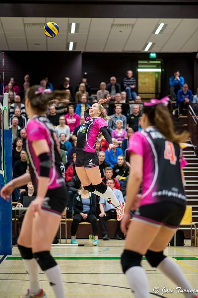 31.3.2016 - (Puijo Wolley N-MesTo N)