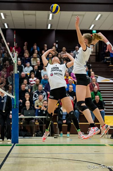 31.3.2016 - (Puijo Wolley N-MesTo N)