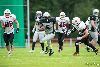 3.7.2016 - (Steelers-Jaguaarit) kuva: 16