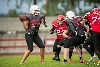 9.7.2016 - (Steelers N-Falcons N) kuva: 16