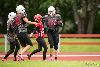 9.7.2016 - (Steelers N-Falcons N) kuva: 19