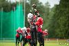 9.7.2016 - (Steelers N-Falcons N) kuva: 6