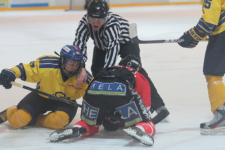 11.3.2013 - (Ässät B-Lukko B)