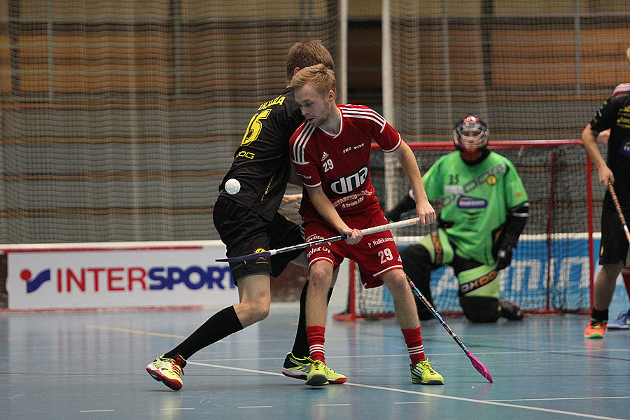 19.10.2015 - (FBT Pitu-Indians)