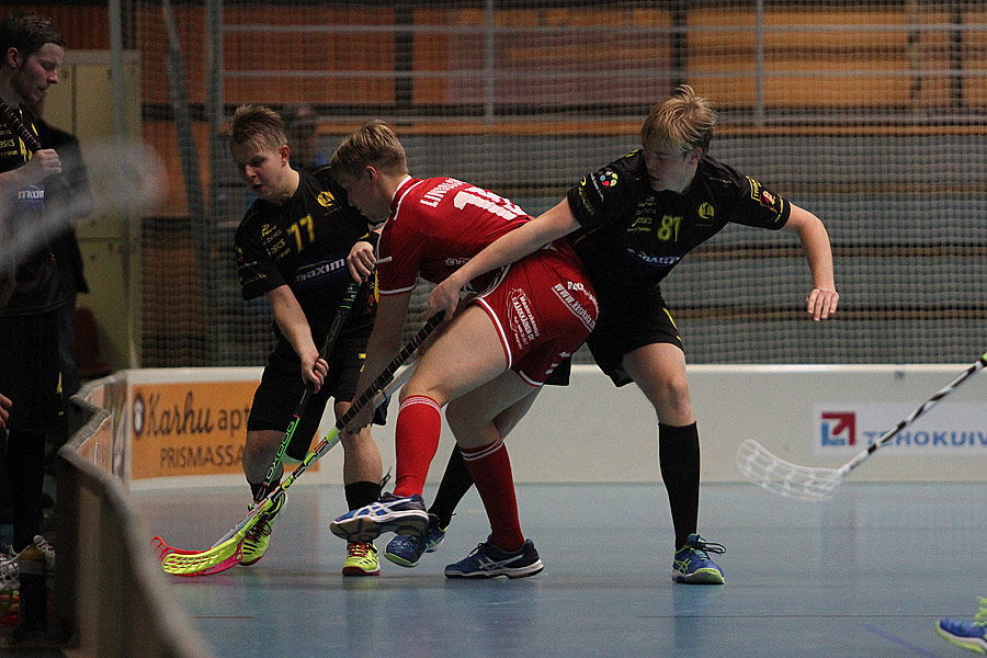 19.10.2015 - (FBT Pitu-Indians)