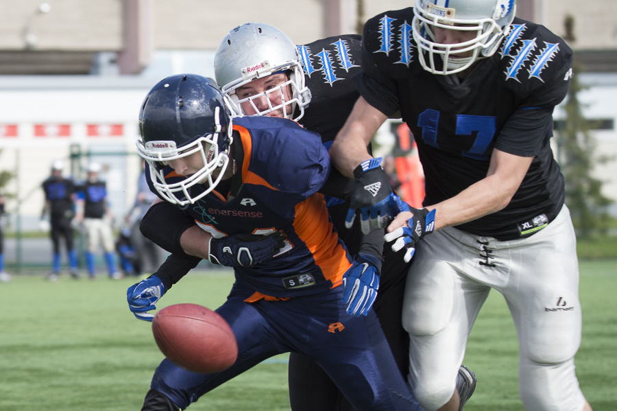 7.6.2015 - (Bears-Lions)