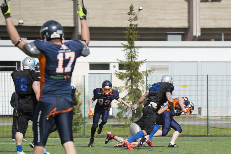 7.6.2015 - (Bears-Lions)