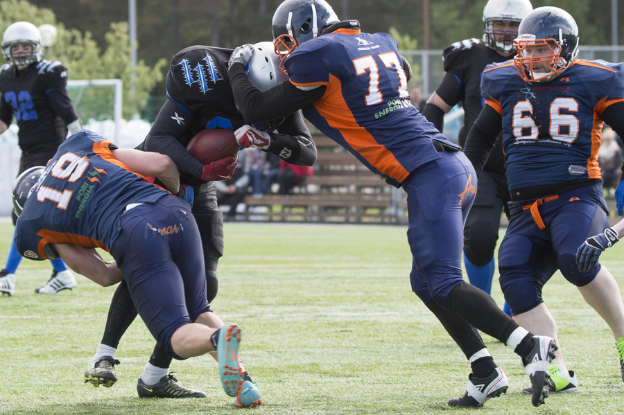 7.6.2015 - (Bears-Lions)