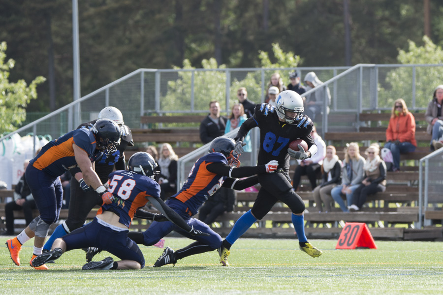 7.6.2015 - (Bears-Lions)