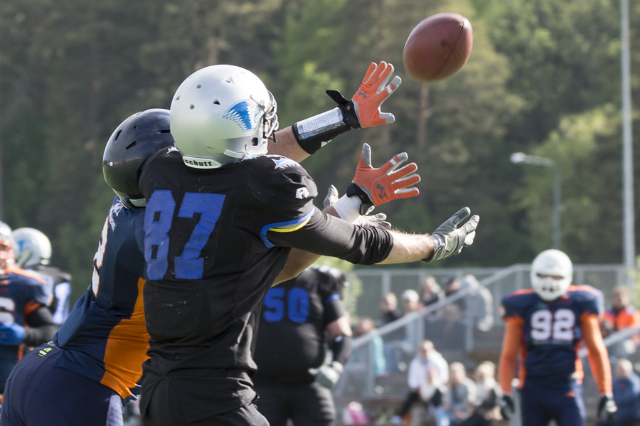 7.6.2015 - (Bears-Lions)