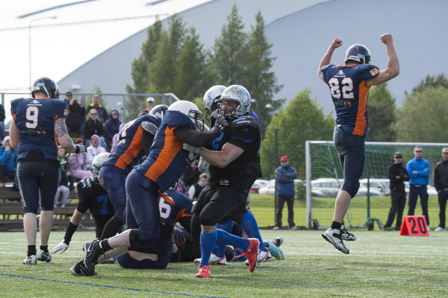 7.6.2015 - (Bears-Lions)