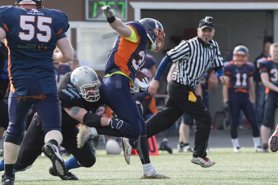 7.6.2015 - (Bears-Lions)