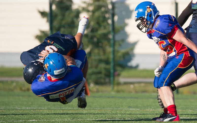 23.8.2015 - (Bears-Nordmen)