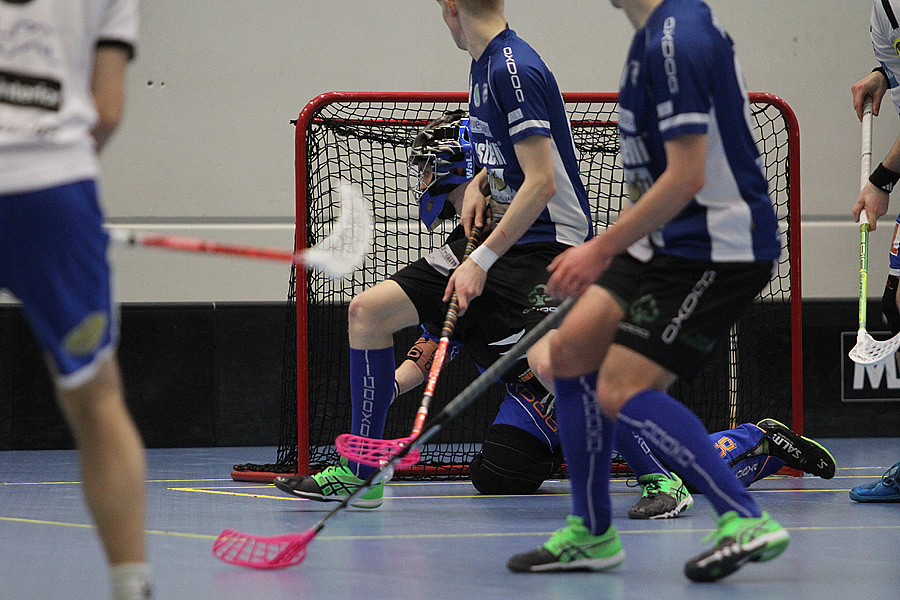 3.4.2017 - (SalBa-Karhut)