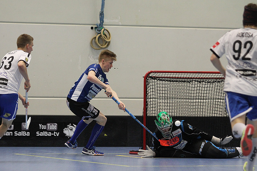 3.4.2017 - (SalBa-Karhut)