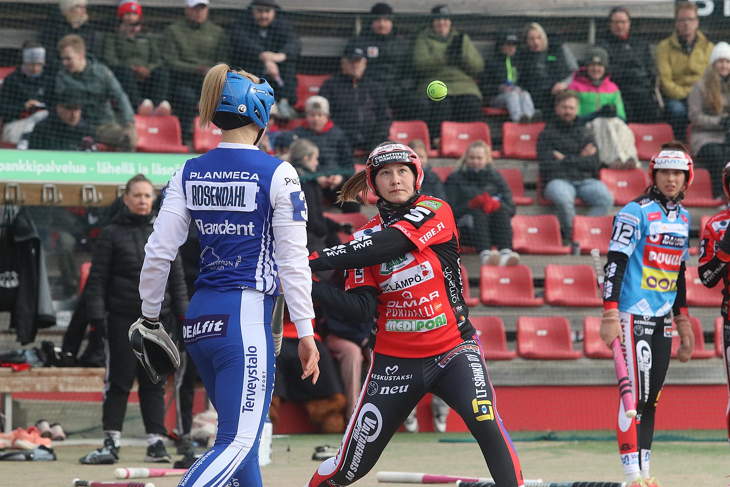 9.5.2025 - (Pesäkarhut N-Roihuttaret N)