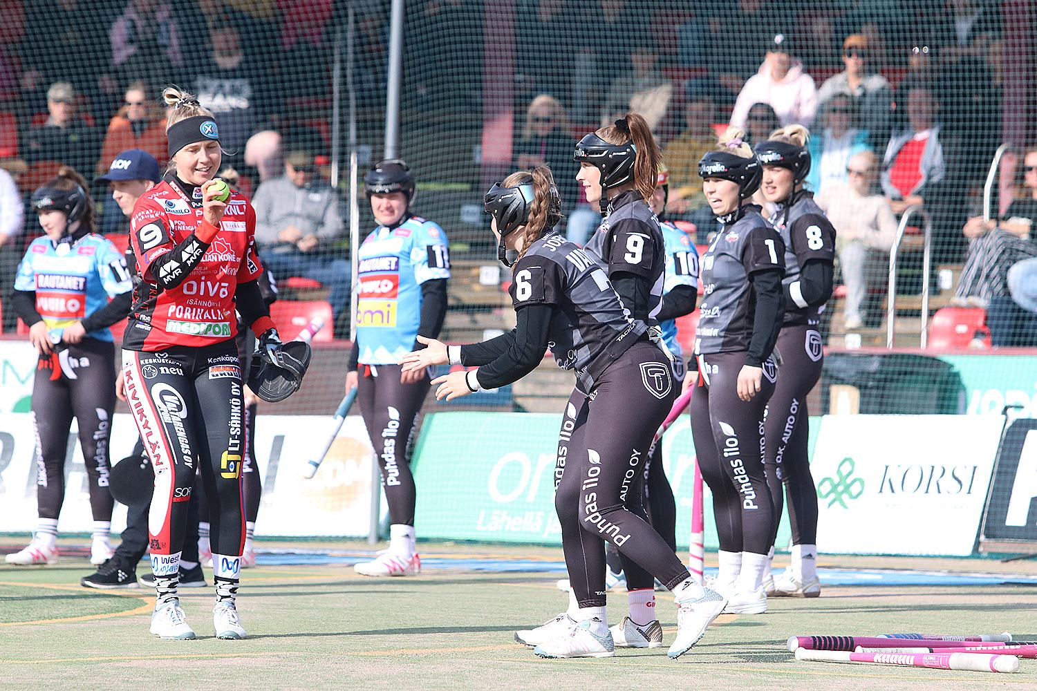 18.6.2025 - (Pesäkarhut N-JoMa N)