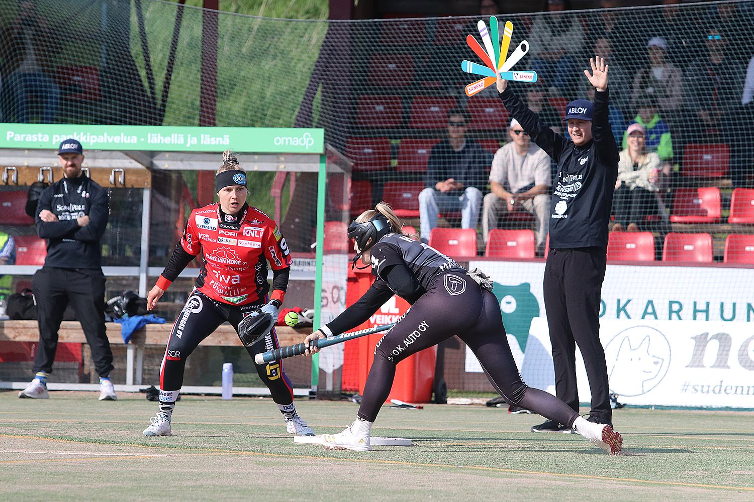 18.6.2025 - (Pesäkarhut N-JoMa N)