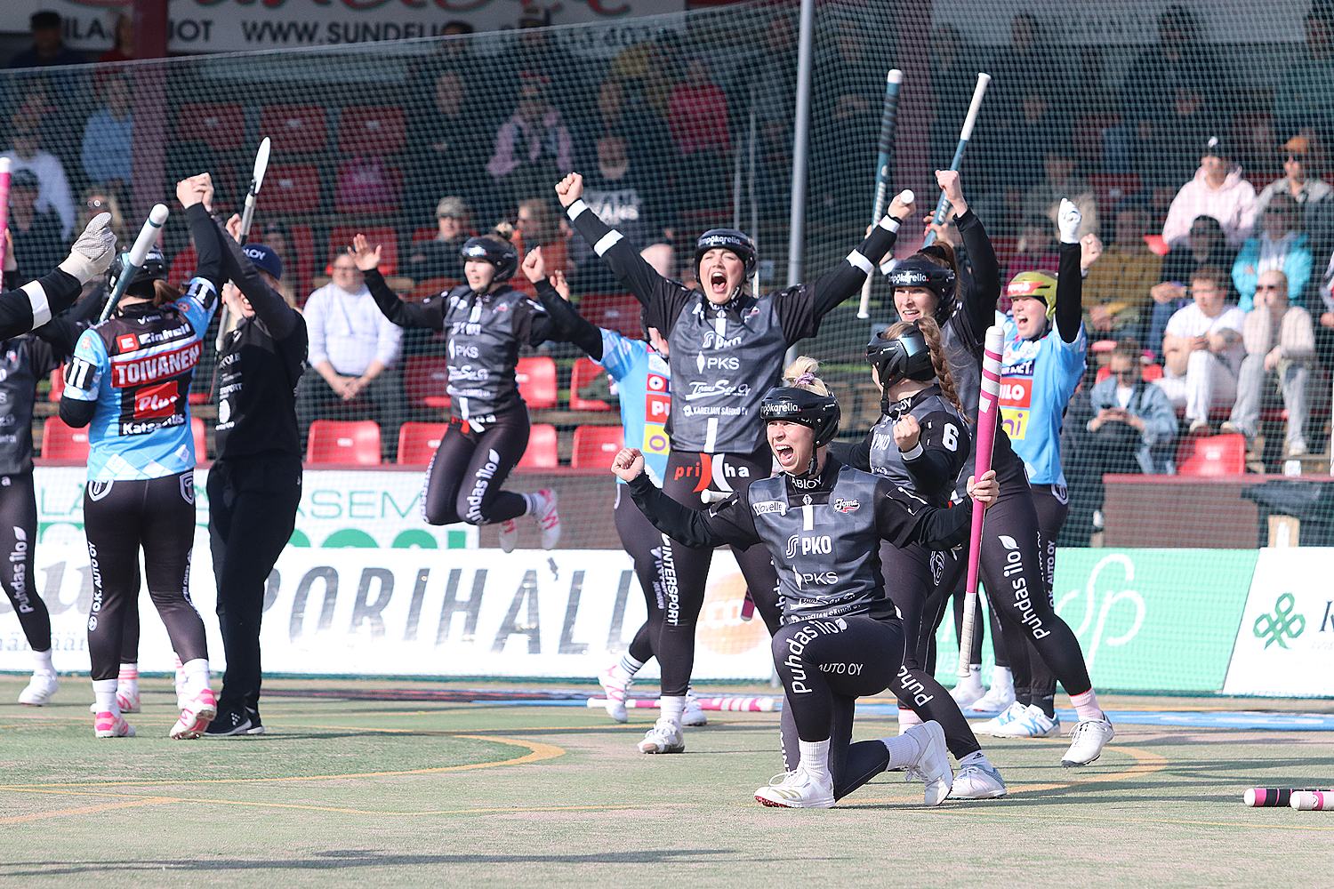 18.6.2025 - (Pesäkarhut N-JoMa N)