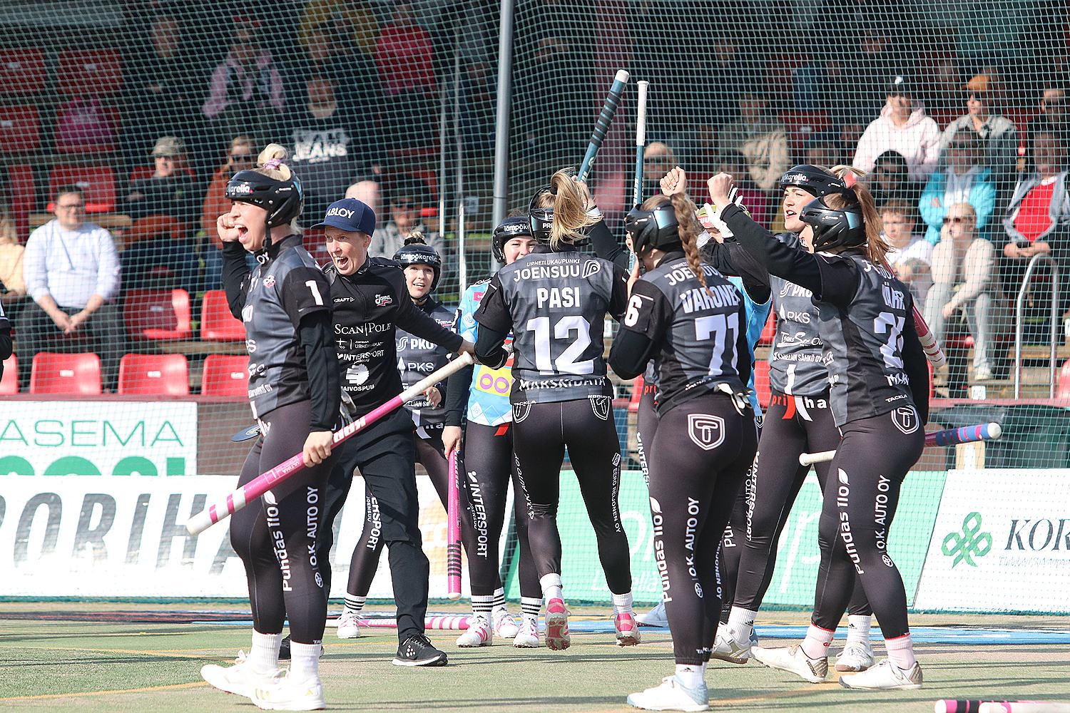 18.6.2025 - (Pesäkarhut N-JoMa N)