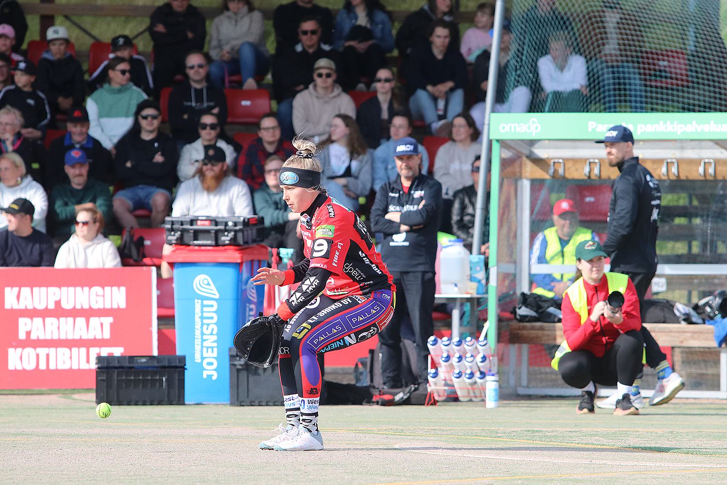 18.6.2025 - (Pesäkarhut N-JoMa N)