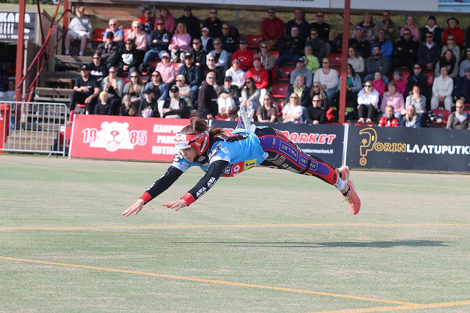 18.6.2025 - (Pesäkarhut N-JoMa N)