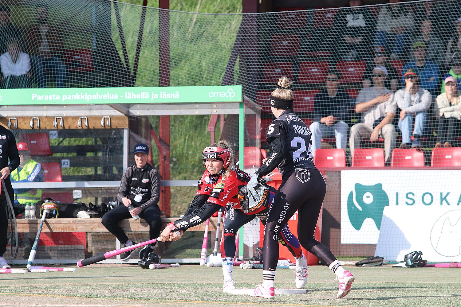 18.6.2025 - (Pesäkarhut N-JoMa N)