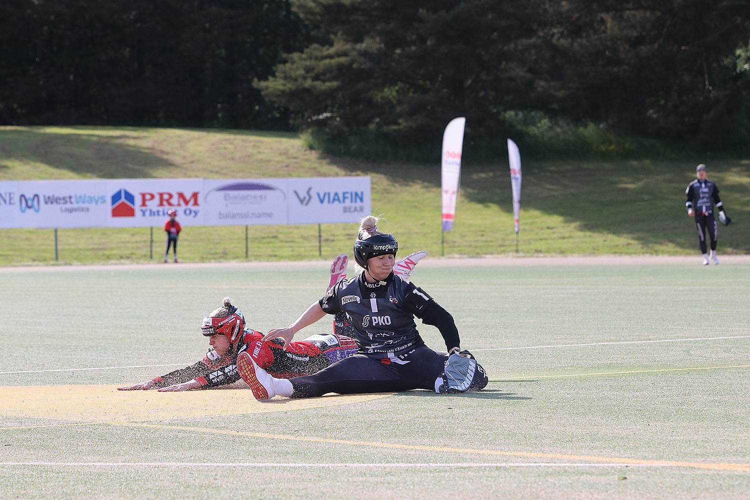 18.6.2025 - (Pesäkarhut N-JoMa N)