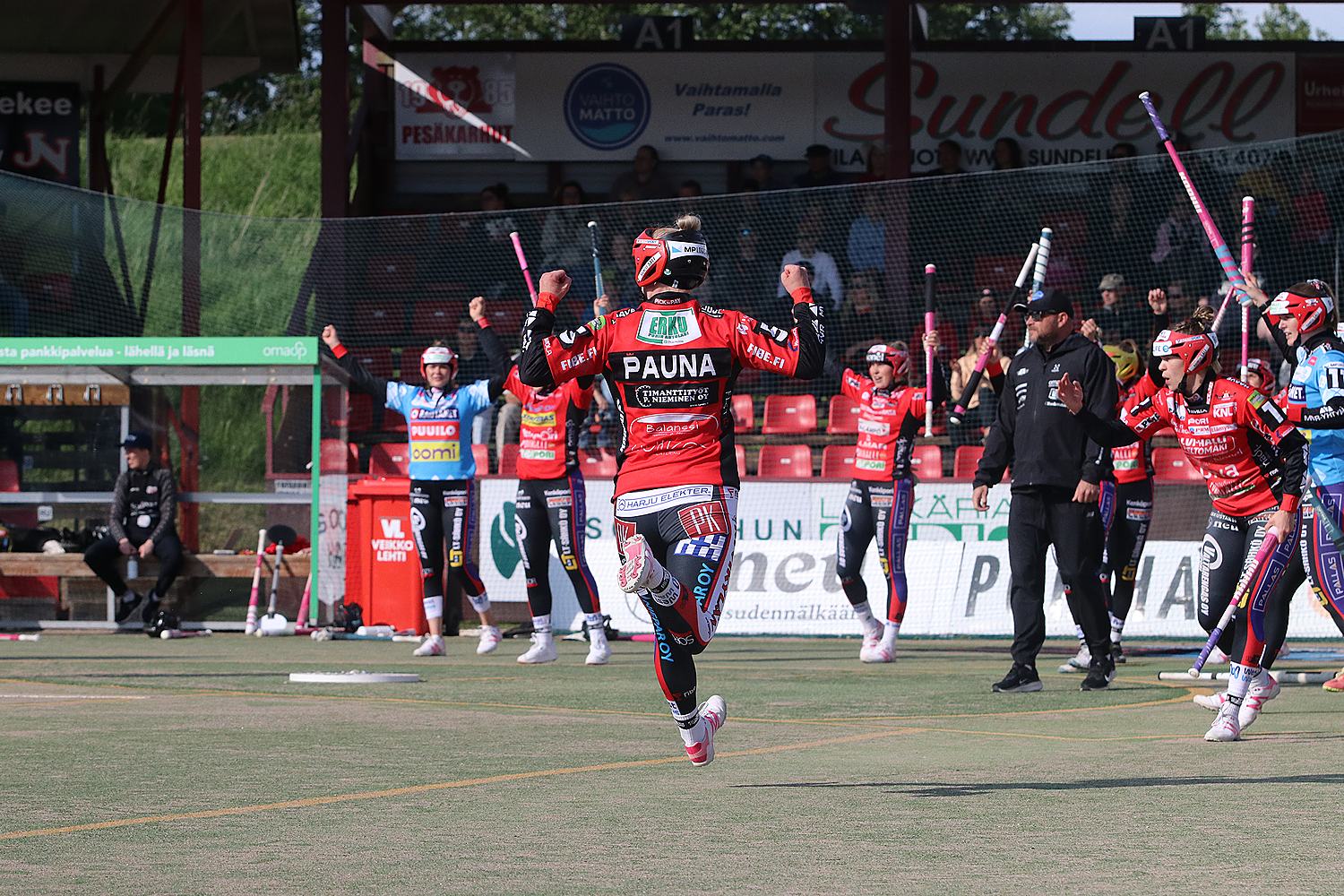 18.6.2025 - (Pesäkarhut N-JoMa N)