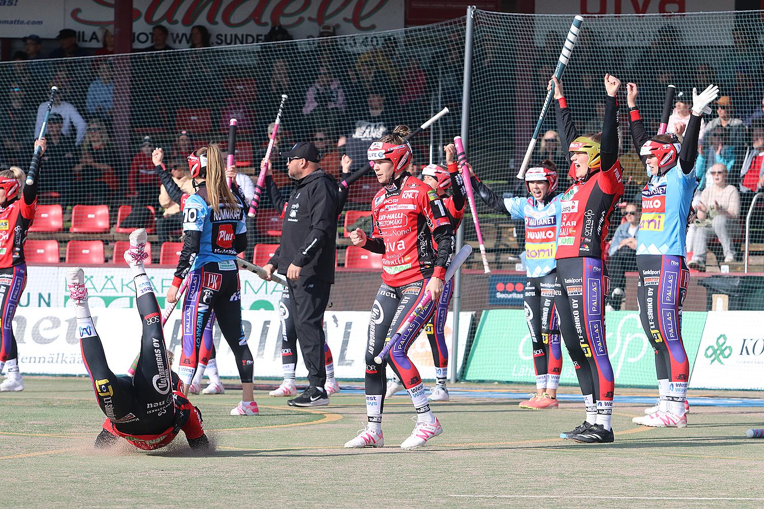 18.6.2025 - (Pesäkarhut N-JoMa N)