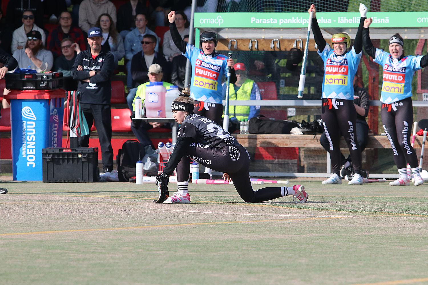 18.6.2025 - (Pesäkarhut N-JoMa N)