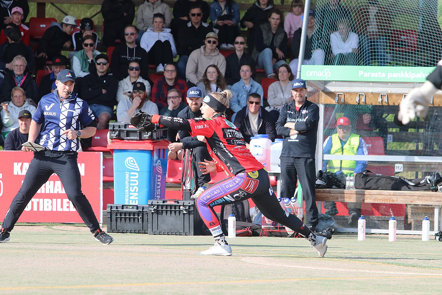 18.6.2025 - (Pesäkarhut N-JoMa N)