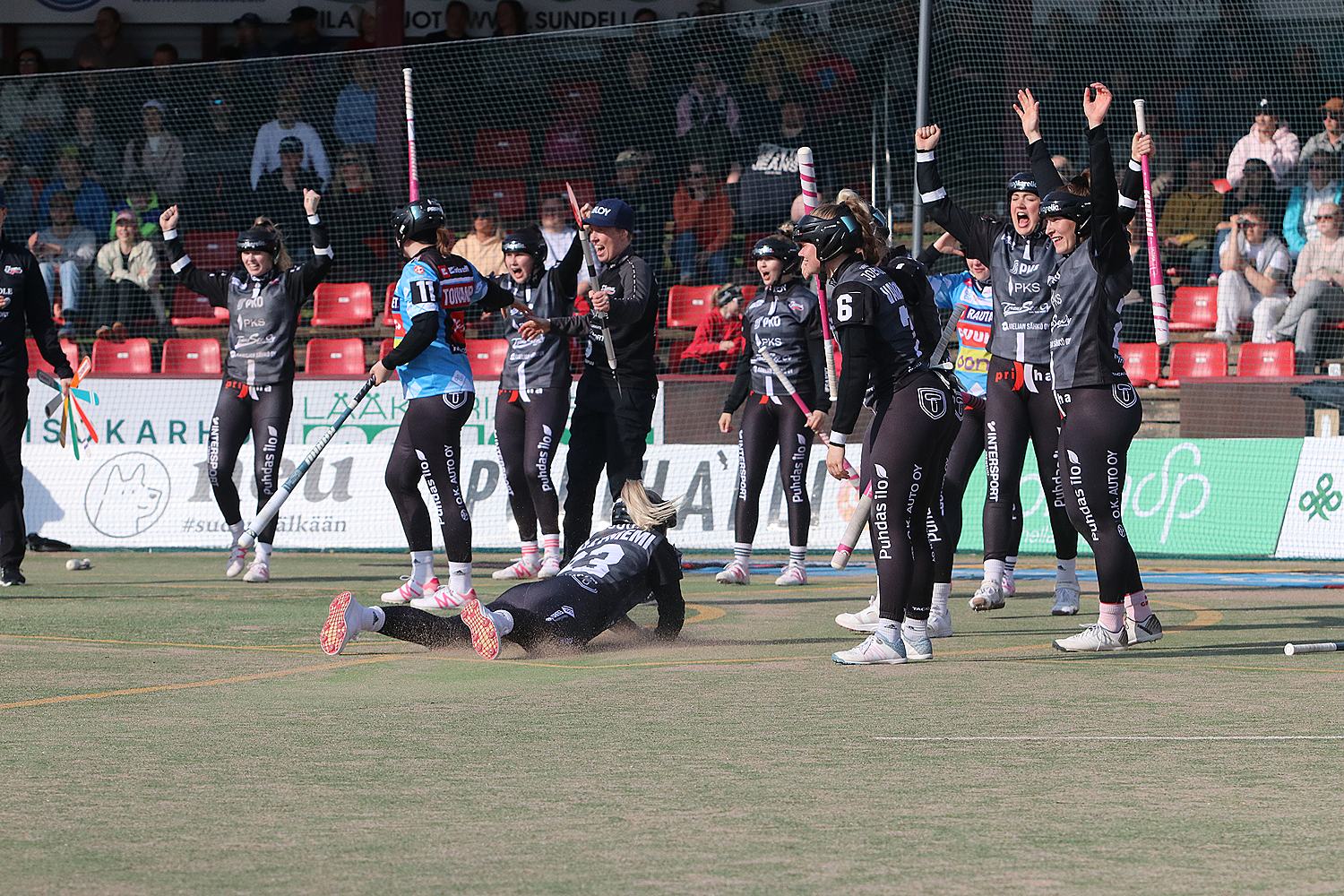 18.6.2025 - (Pesäkarhut N-JoMa N)