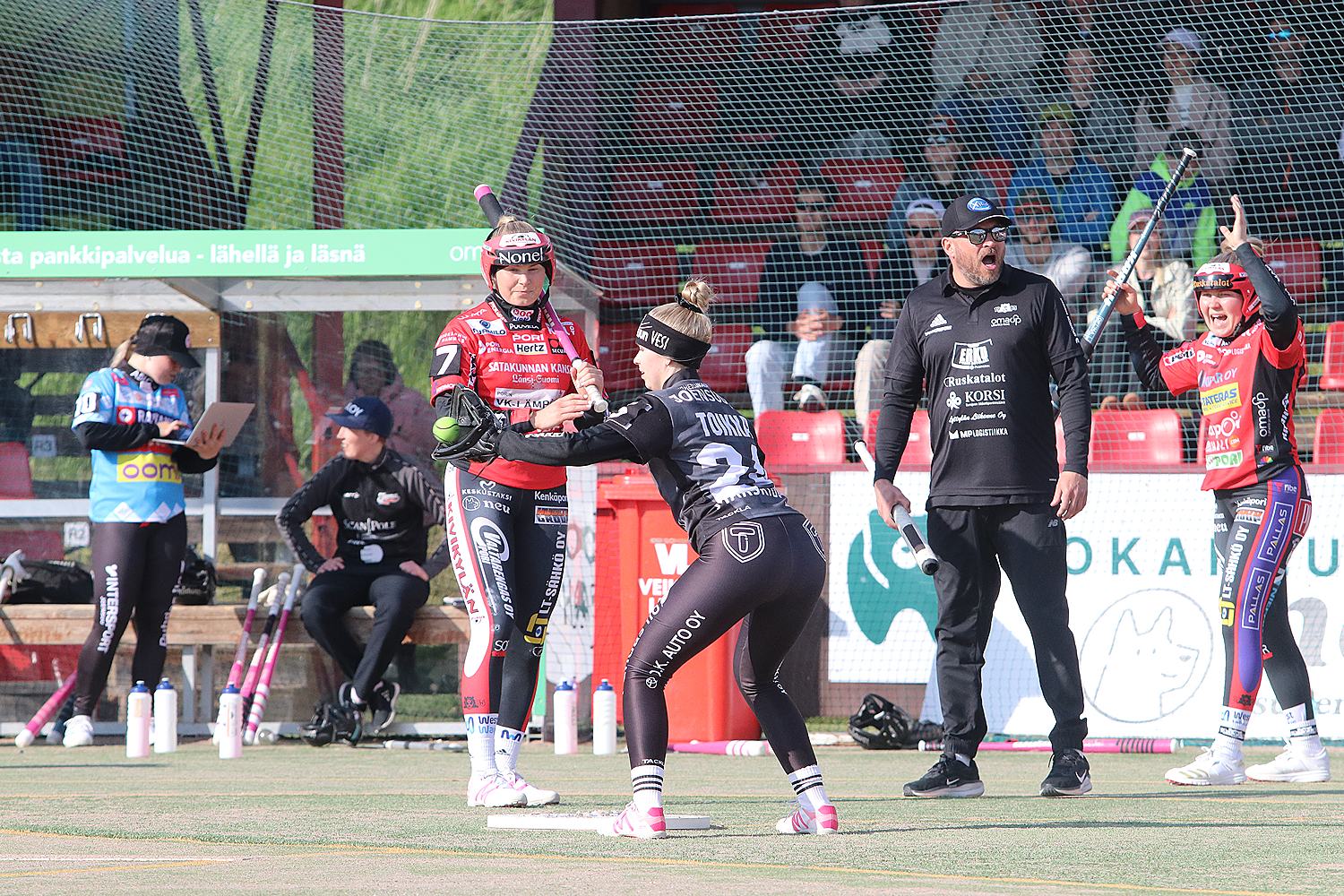 18.6.2025 - (Pesäkarhut N-JoMa N)