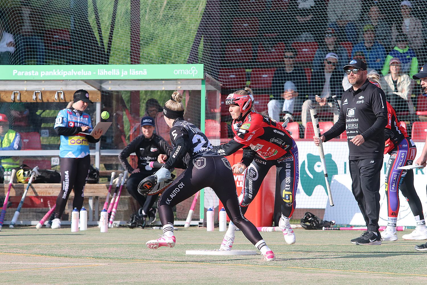 18.6.2025 - (Pesäkarhut N-JoMa N)