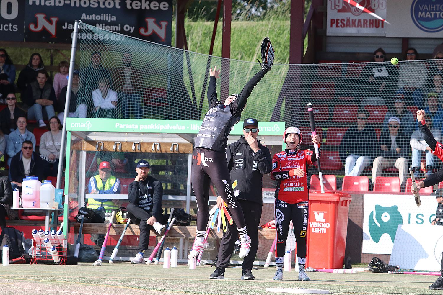 18.6.2025 - (Pesäkarhut N-JoMa N)