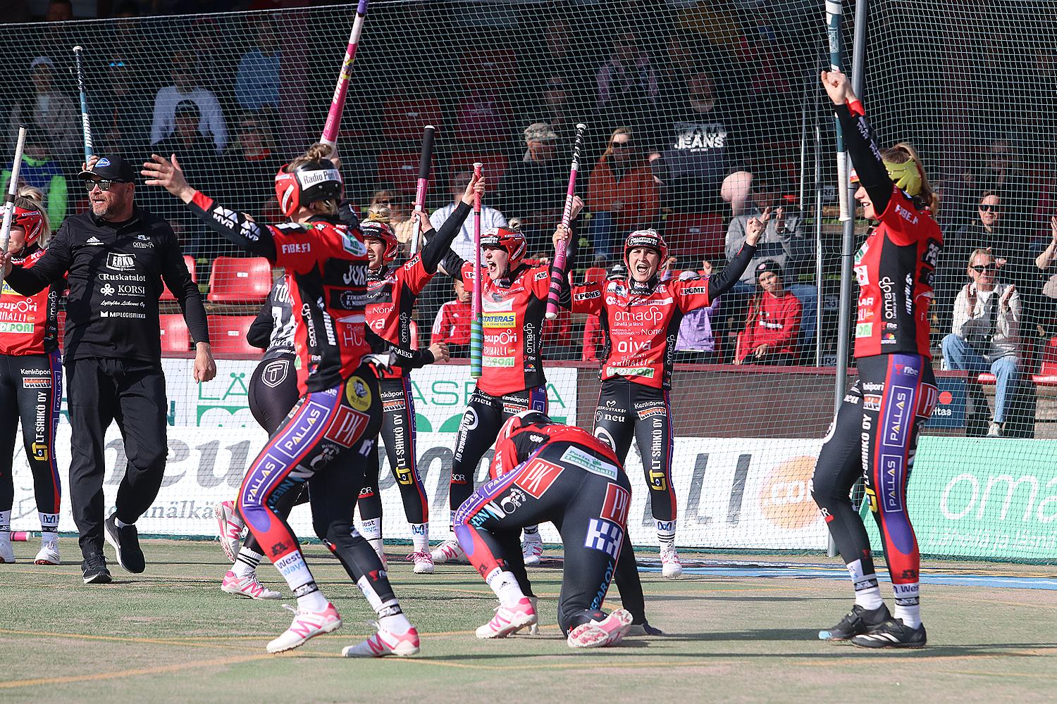 18.6.2025 - (Pesäkarhut N-JoMa N)