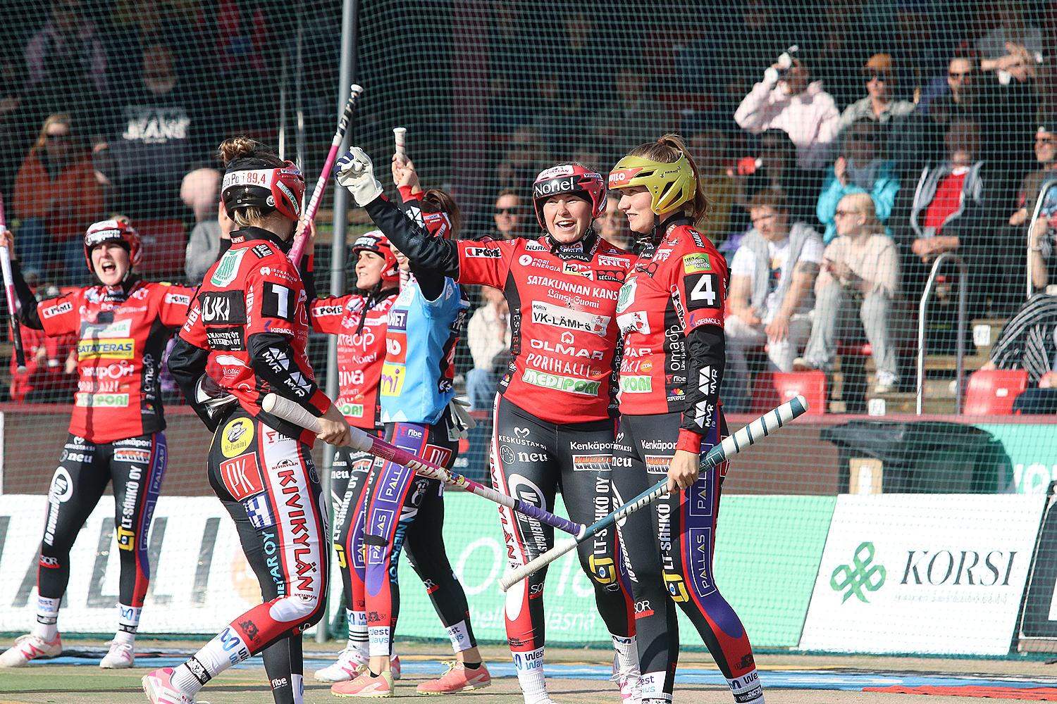 18.6.2025 - (Pesäkarhut N-JoMa N)