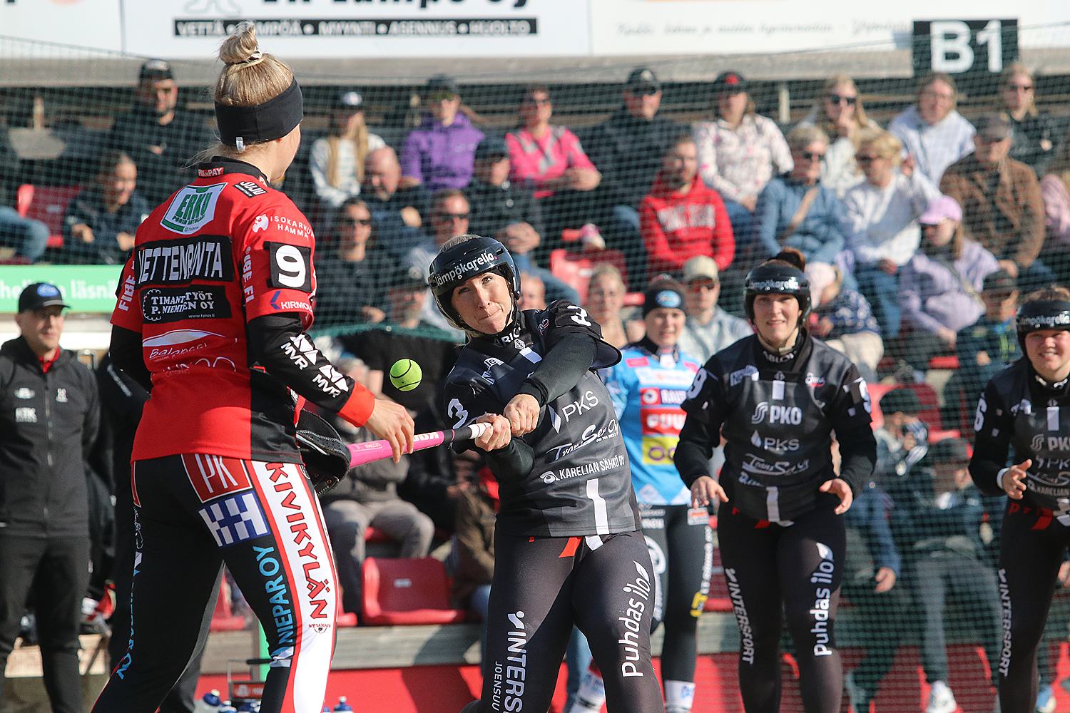 18.6.2025 - (Pesäkarhut N-JoMa N)