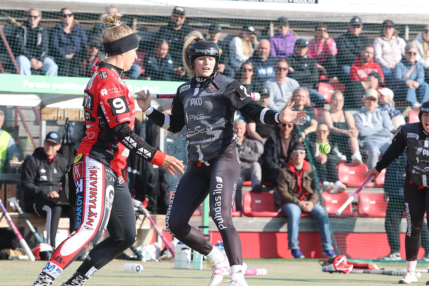 18.6.2025 - (Pesäkarhut N-JoMa N)